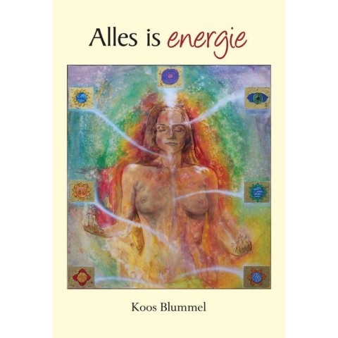 Alles is energie (Paperback)