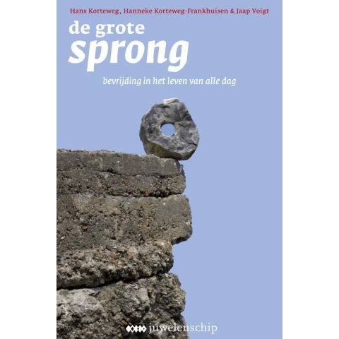 De grote sprong (Paperback)