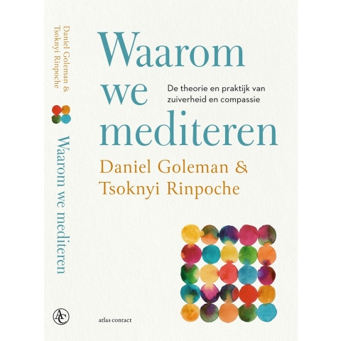 Waarom we mediteren (Paperback)