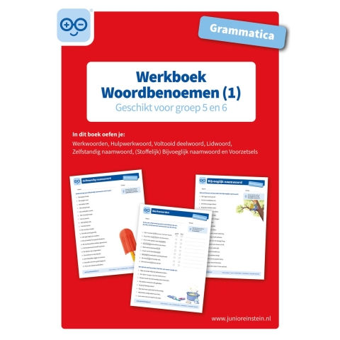 Grammatica Woordbenoemen (1) (Paperback)