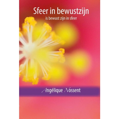 Sfeer in bewustzijn, is bewust zijn in sfeer (Paperback)