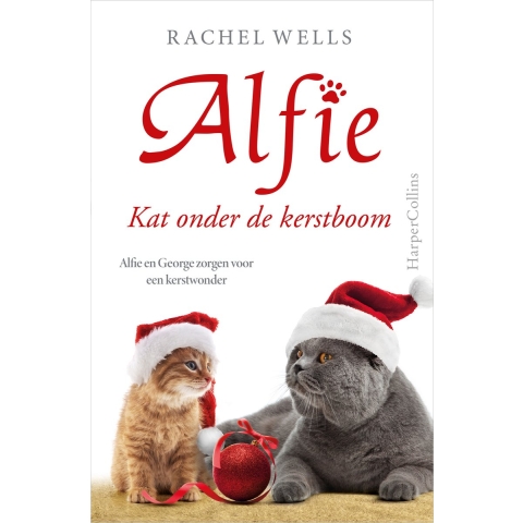 Kat onder de kerstboom (Paperback)