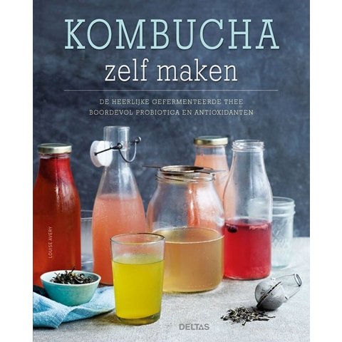Kombucha zelf maken (Paperback)