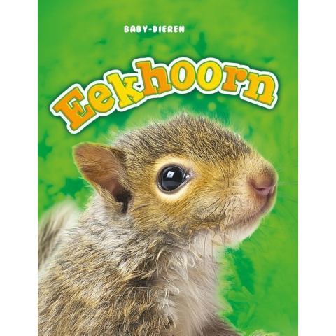 Eekhoorn (Hardback)