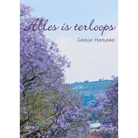 Alles is terloops (Paperback)