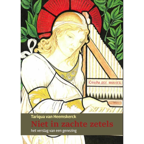 Niet in zachte zetels (Paperback)