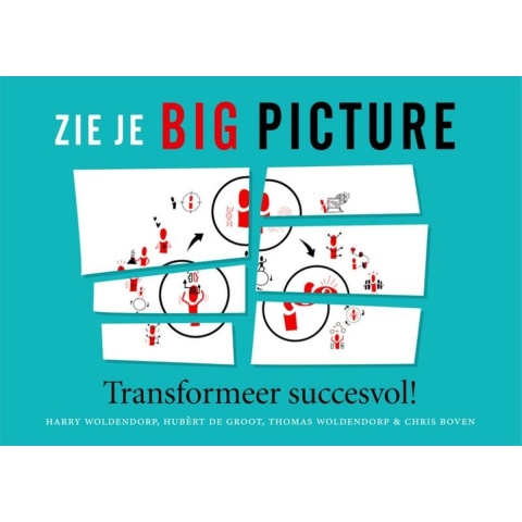 Zie je Big Picture (Hardback)