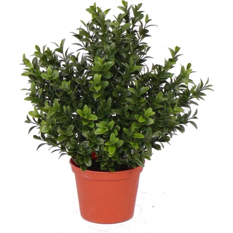 Kunstplant - Buxus - groen - in pot - 31 cm - Kantoor/huiskamer -