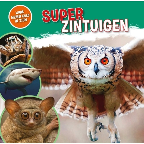 Superzintuigen (Hardback)