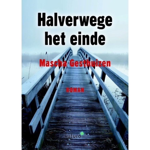Halverwege het einde (Paperback)
