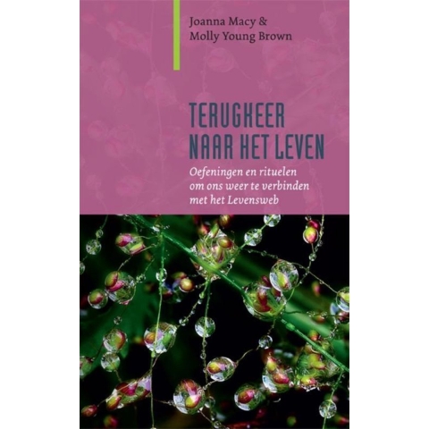 Terugkeer naar het leven (Paperback)