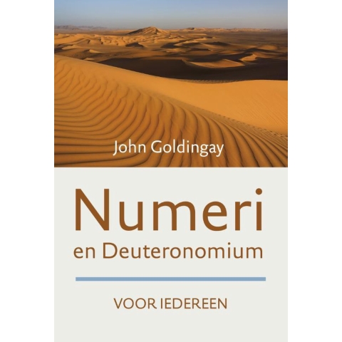 Numeri en Deuteronomium voor iedereen (Paperback)