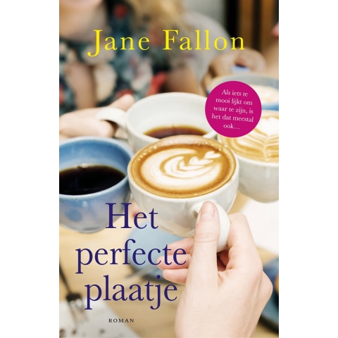 Het perfecte plaatje (Paperback)