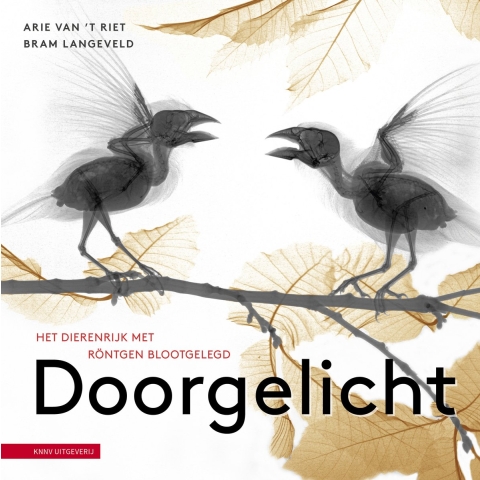Doorgelicht (Hardback)