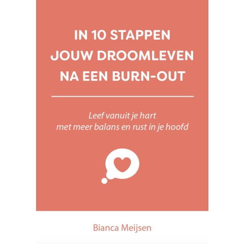 In 10 stappen jouw droomleven na een burn-out (Paperback)