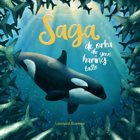 Saga (Hardback)