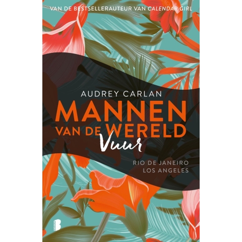 Vuur (Paperback)