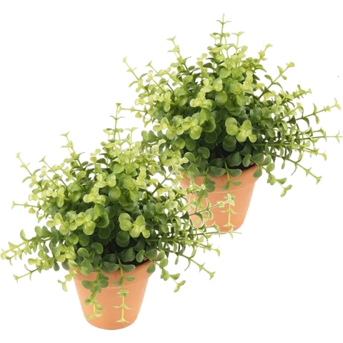 Kunstplant eucalyptus - 2x - groen - in terracotta pot - 20 cm -