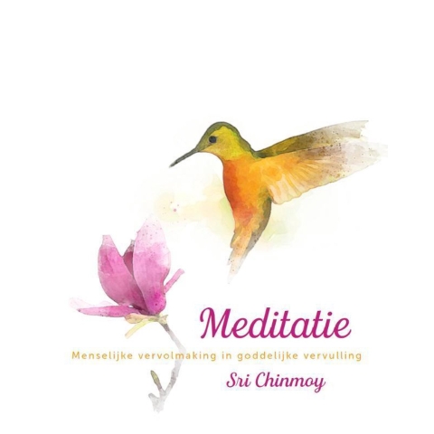 Meditatie (Paperback)