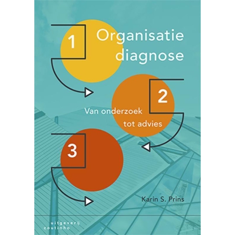 Organisatiediagnose (Paperback)