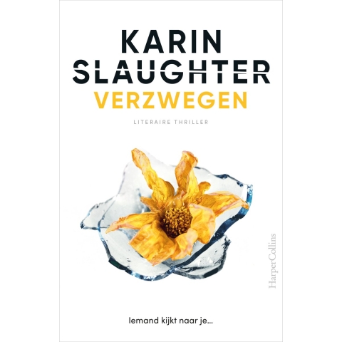 Verzwegen (Paperback)