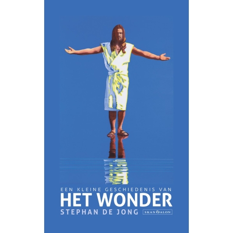 Een kleine geschiedenis van het wonder (Paperback)
