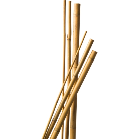 21x stuks bamboestokken 90 cm - plantensteun / tonkinstokken -