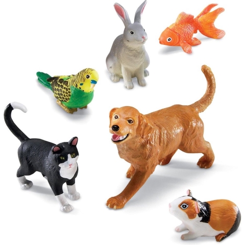Learning Resources Huisdieren Jumbo 5 stuks