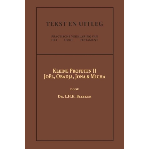De Kleine Profeten II (Paperback)