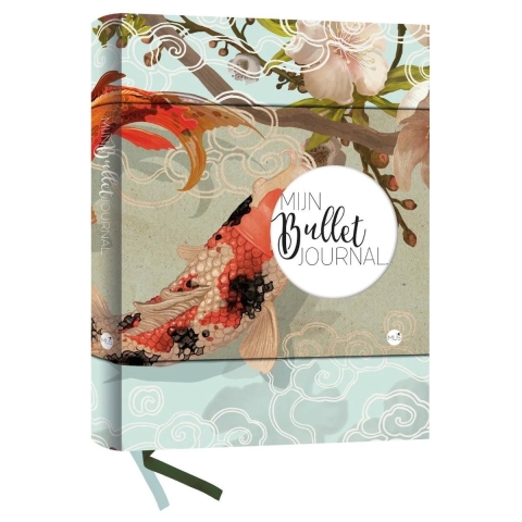 Mijn Bullet Journal (Paperback)