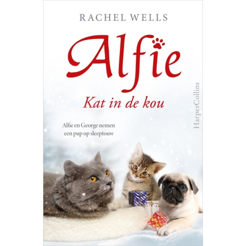 Kat in de kou (Paperback)