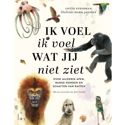 Ik voel ik voel wat jij niet ziet (Hardback)