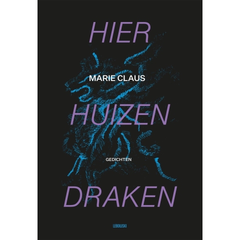 Hier huizen draken (Paperback)