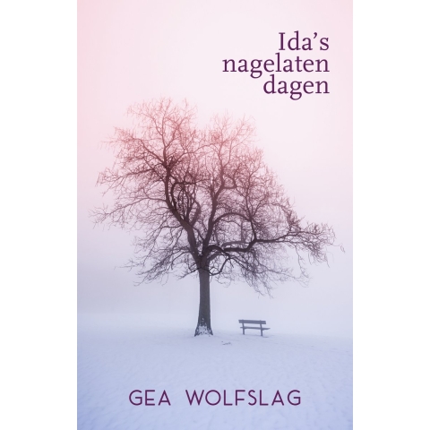Ida&apos;s nagelaten dagen (Paperback)