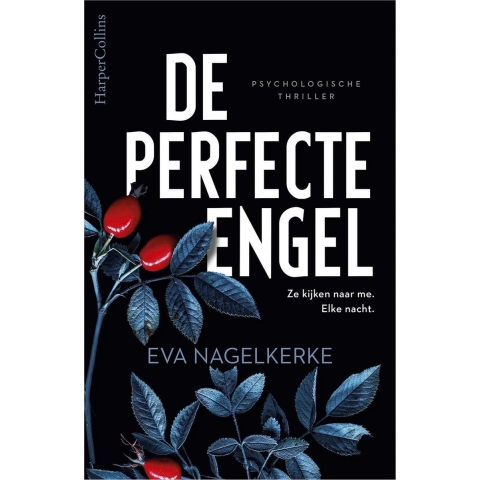 De perfecte engel (Paperback)
