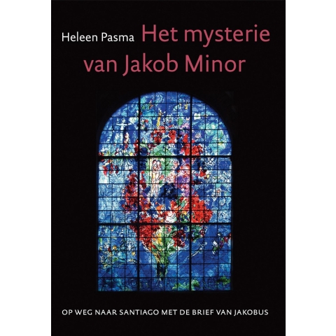 Het mysterie van Jacob Minor (Paperback)