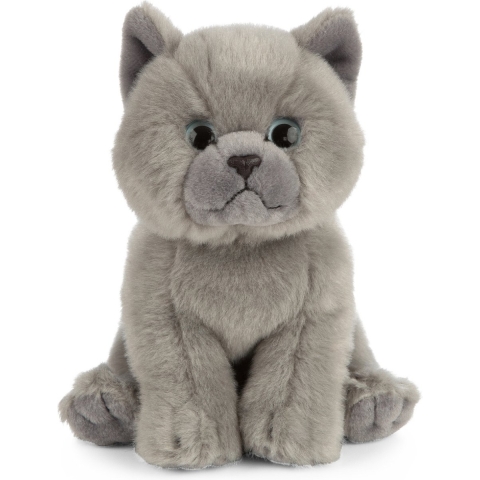 Britse korthaar kat/poes knuffel - grijs - pluche - 16 cm - kattenknuffel/poezenknuffel -
