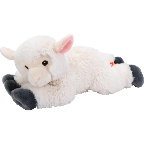 Knuffel Schaap - lammetje - pluche - dieren knuffels - 30 cm -