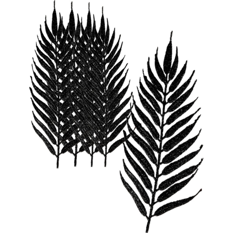 Kerstdecoratie bladeren/bladtakken- 12x stuks - zwart - 24 cm -glitter -