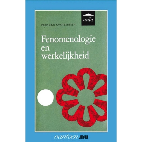 Fenomenologie en werkelijkheid (Paperback)