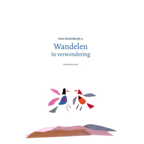 Wandelen in verwondering (Hardback)