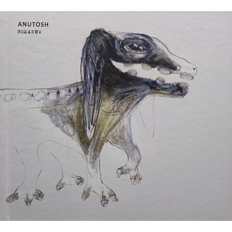 Anutosh - Schaduw (Hardback)