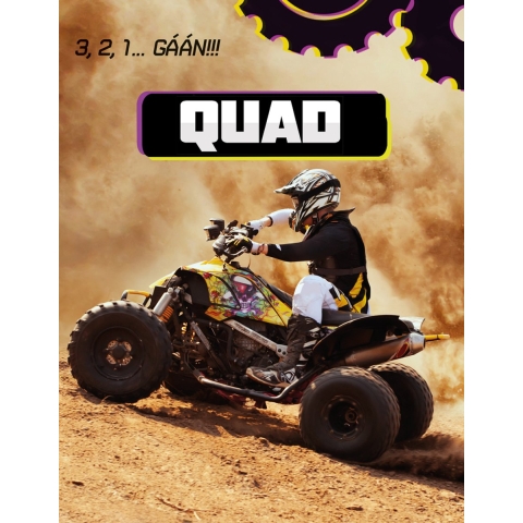 Quad (Hardback)