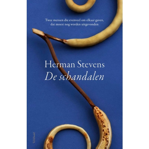 De schandalen (Paperback)