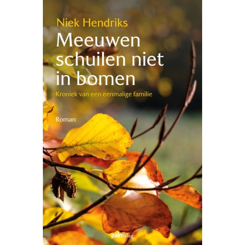 Meeuwen schuilen niet in bomen (Paperback)