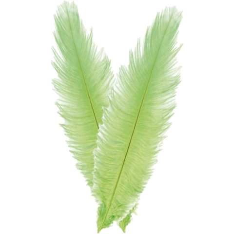 Pieten struisvogelveer/sierveer - 2x - lime groen - 55-60 cm - decoratie/hobbymateriaal -