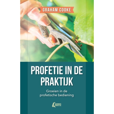 Profetie in de praktijk (Paperback)