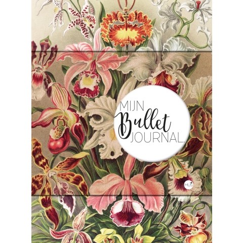 Mijn Bullet Journal (Paperback)