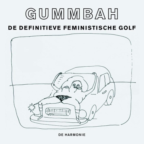 De definitieve feministische golf (Hardback)