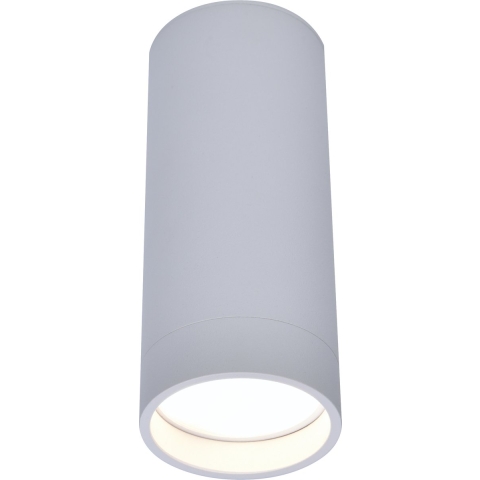 Lutec Stag - Opbouwspot - Slimme Verlichting - Lutec Connect - Ø 5,4 X 13 Cm - 4,7W LED Incl. - Dimfunctie En Instelbare Lichtkleur Via App - Wit